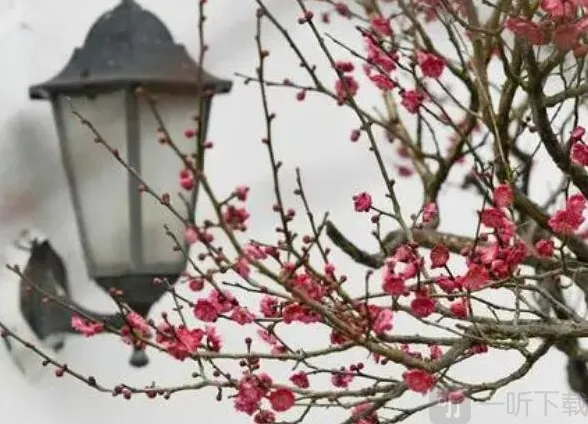 支付宝清气满乾坤