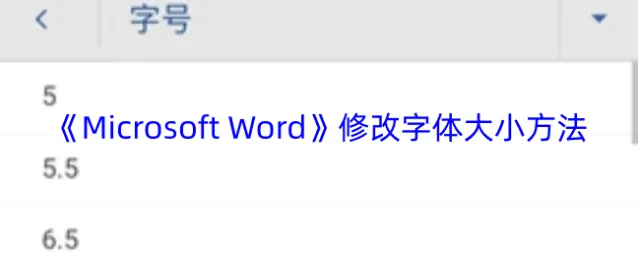 Microsoft Word字体大小