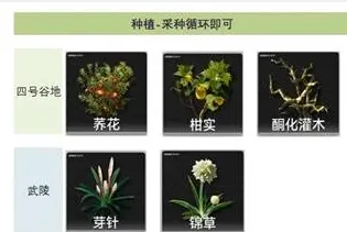 明日方舟终末地景玉谷