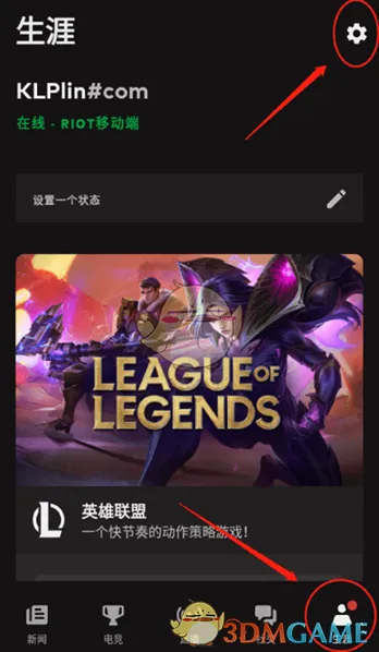 riot games设置