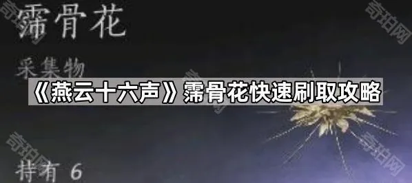 燕云十六声梯子
