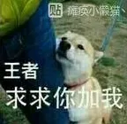 王者荣耀奥运健儿