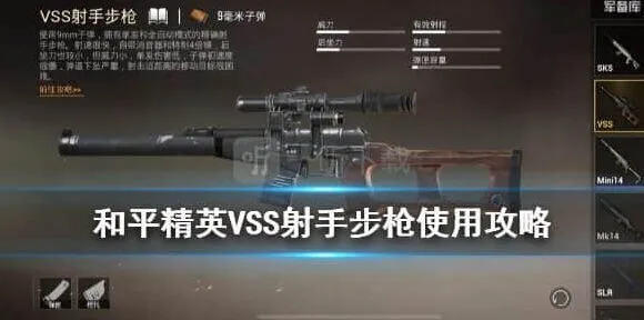 和平精英VSS完整使用攻略