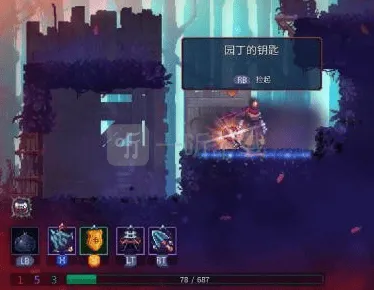 庇护所细胞