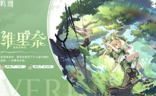 鸣潮椿主