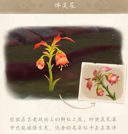 原神悼灵花刷新时间详解攻略