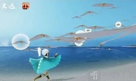 光遇活动