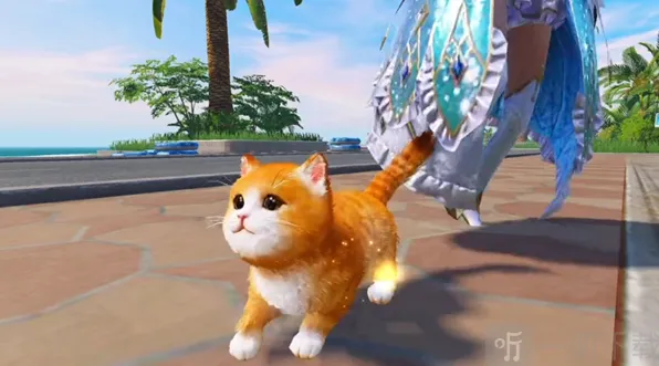 《和平精英》修改猫咪名字流程
