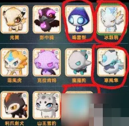 《出发吧麦芬》宠物推荐排行