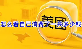 《美团》如何查看美团消费全总额指南