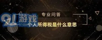《个人所得税》含义说明