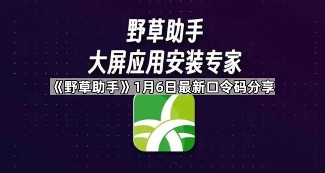 影视大全野草