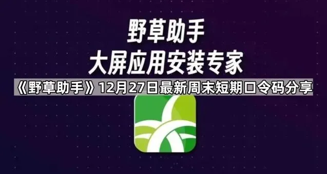 夸克12月27日最新周末短期口令码分享技巧分享