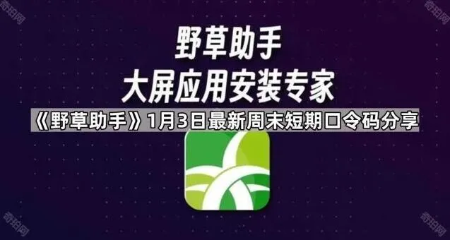 《夸克》口令码使用完整步骤