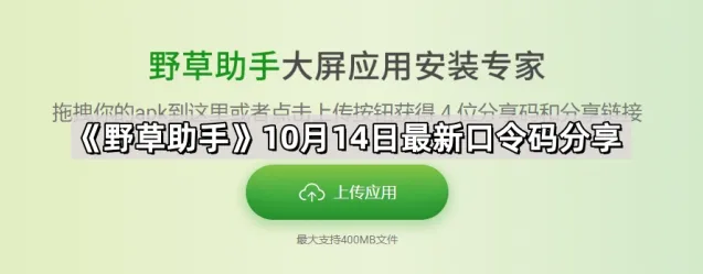 WiFi万能钥匙野草