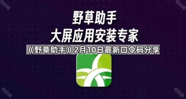 《野草助手》：最新口令码分享方法详解