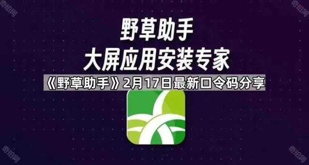 TA最新口令码分享步骤指南