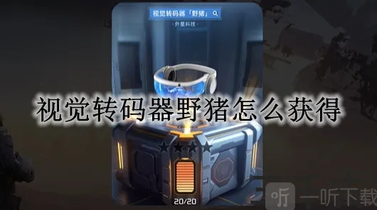命运视觉转码器野猪任务流程