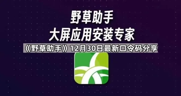 野草助手12月30日最新口令码分享使用教程