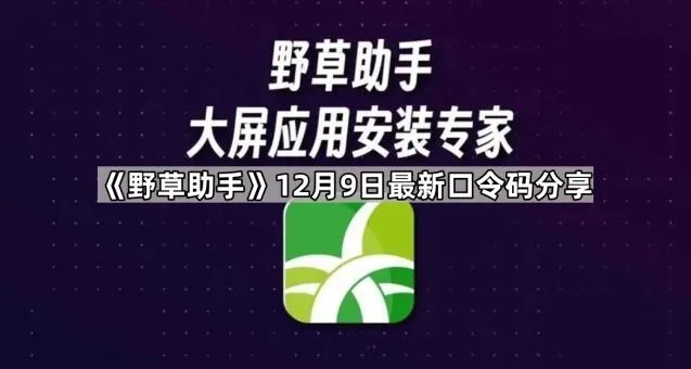 《TA》12月9日最新口令码全部分享指南