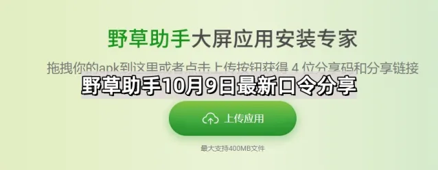 野草助手口令分享完整指南