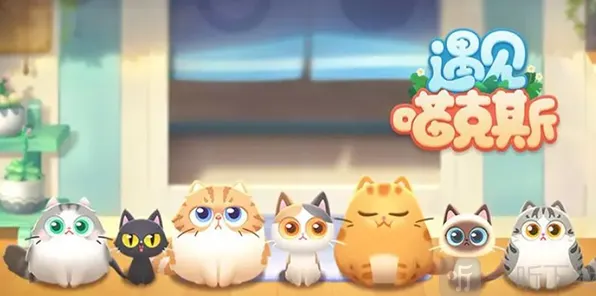 《遇见喵克斯》：生小猫攻略