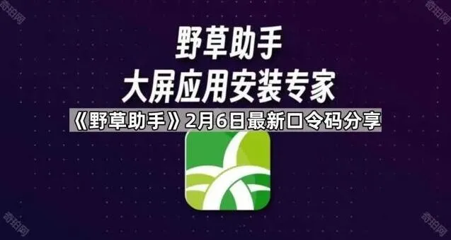 野草助手2月6日口令码分享详解