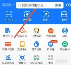 ios支付宝查看健康码URL代码完整指南