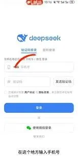 DeepSeek应用下载安装方法详解