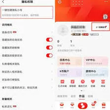 全民K歌作品和动态访问权限设置