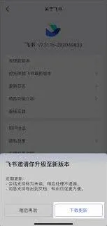 飞书查看版本号操作指南
