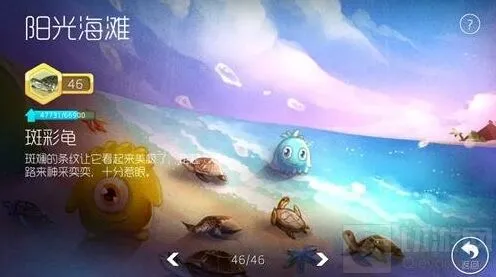 球球大作战进化知识进度查看位置