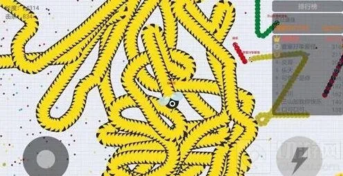贪吃蛇大作战高分战绩截图 2万分分享