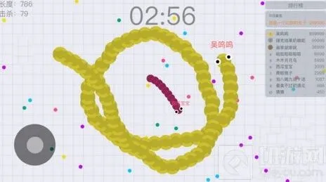 贪吃蛇大作战：需要网络吗 不联网能玩吗详细解答