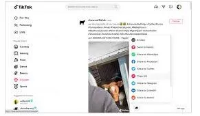 TikTok网页版最新地址详细教程