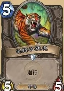 炉石传说潜行圣盾问答完整指南