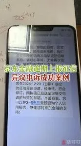 京东金条无力还款破解指南