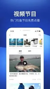 微信版本检测操作教程