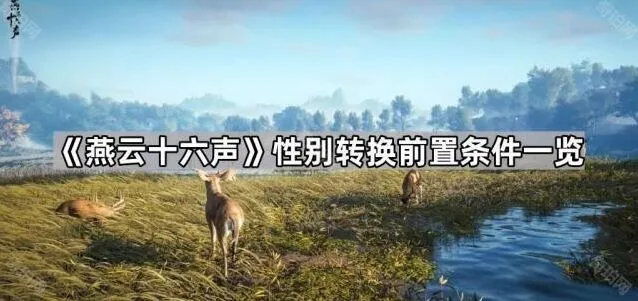 燕云十六声性别转换功能全攻略
