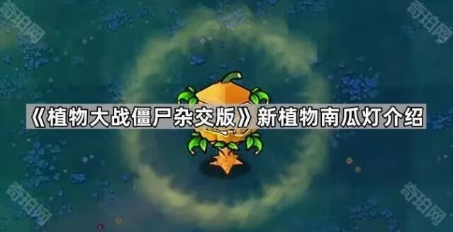 植物大战僵尸杂交版南瓜灯玩法详解