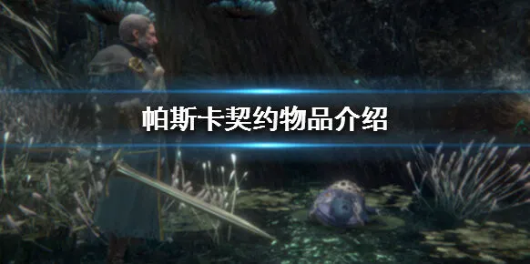 帕斯卡契约物品道具详细指南