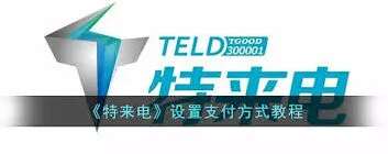 特来电支付方式指南