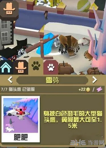 疯狂动物园雪鸮怎么抓攻略