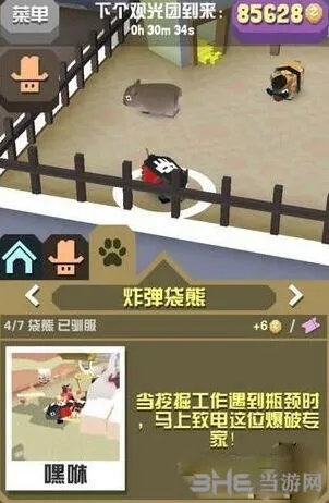 疯狂动物园袋熊