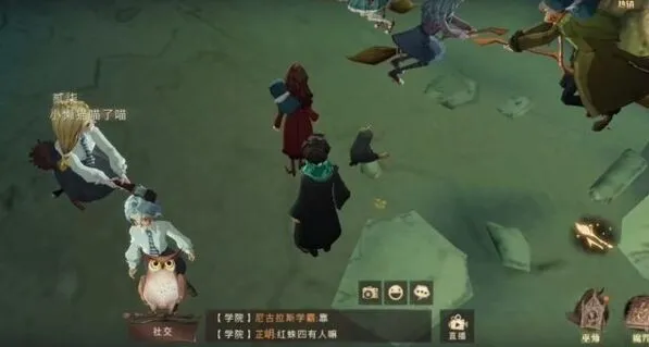 《哈利波特》：处置危险生物委员会任务指南