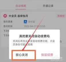 哔哩哔哩大会员