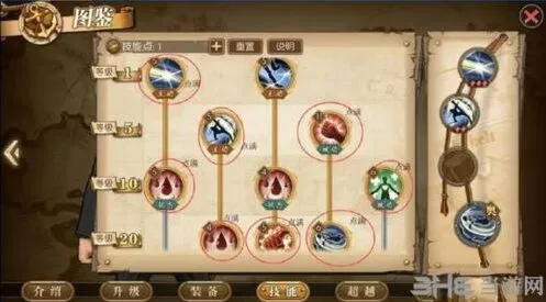 航海王燃烧意志卡古技能升级指南