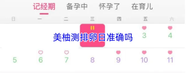 美柚预测