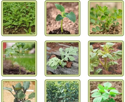 解压找茬烧脑去找