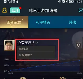 王者荣耀查看